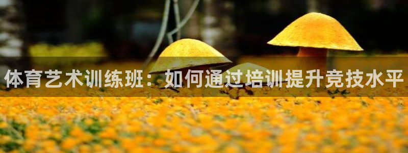 焦点娱乐游戏怎么玩教程