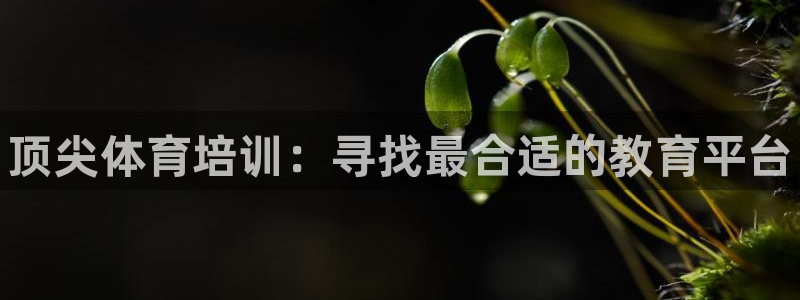 焦点娱乐游戏攻略大全：顶尖体育培训：寻找最合适的教育