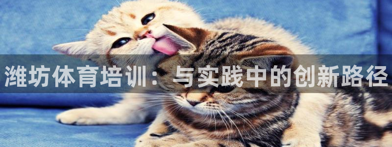 焦点娱乐软件版本下载：潍坊体育培训：与实践中的创新路