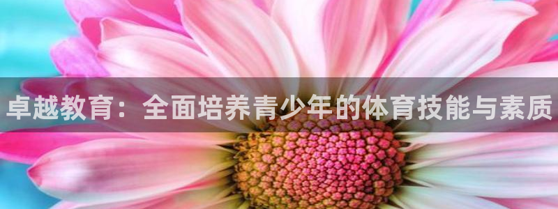 焦点娱乐游戏攻略视频：卓越教育：全面培养青少年的体育