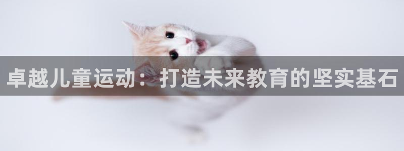 焦点娱乐跨服2013：卓越儿童运动：打造未来教育的坚