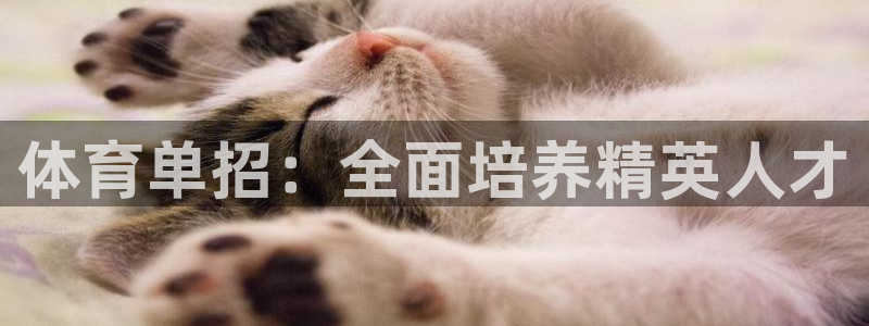 焦点娱乐官方网站首页入口在线观看：体育单招：全面培养精英人才