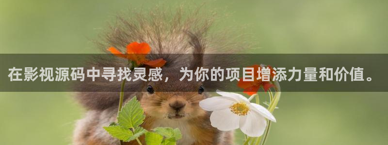 羞羞影院爽爽：在影视源码中寻找灵感，为你的项目增添力量和价值。